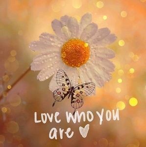 Meet your Posher, Jo anne